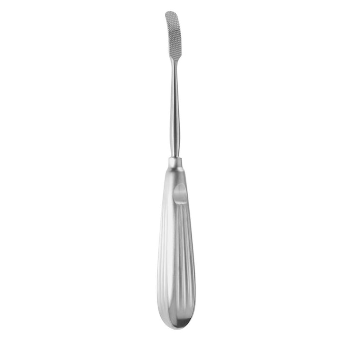 Aufricht Glabella Rasp ? 205mm Curved Backward