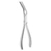 Asch Septum Straightening Forceps Heavy Pattern
