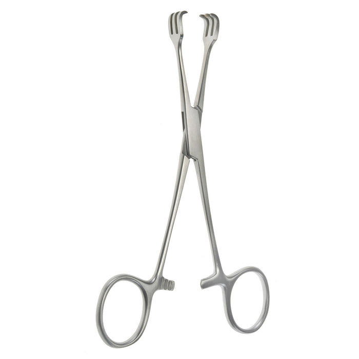 Lahey Traction Forceps (Triple Hook) ? Prong