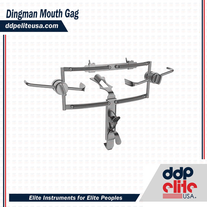 Dingman Mouth Gag - ddpeliteusa