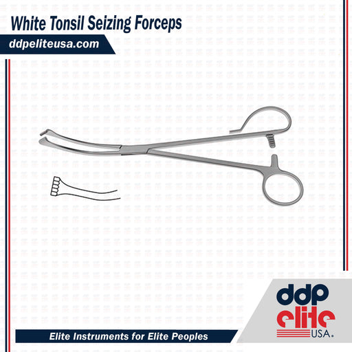 White Tonsil Seizing Forceps - ddpeliteusa
