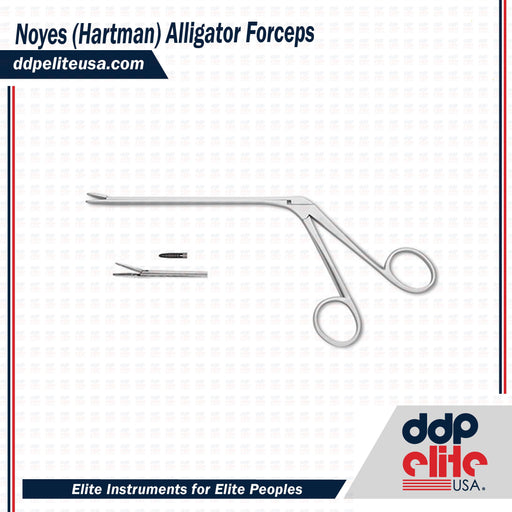 Noyes (Hartman) Alligator Forceps - ddpeliteusa