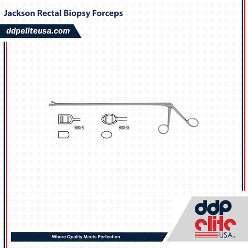 Jackson Rectal Biopsy Forceps - ddpeliteusa