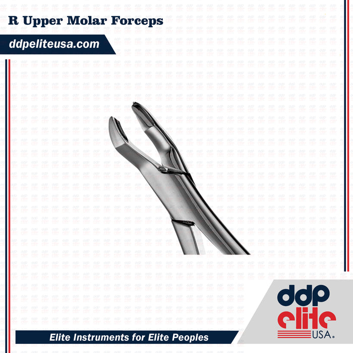 R Upper Molar Forceps