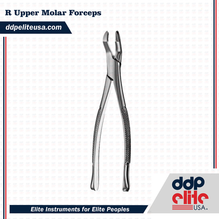 dental r upper molar forceps instrument