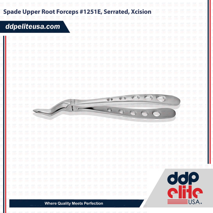 Spade Upper Root Forceps #1251E, Serrated, Xcision - ddpeliteusa