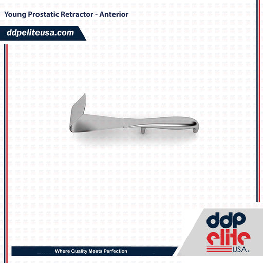 Young Prostatic Retractor - Anterior - ddpeliteusa